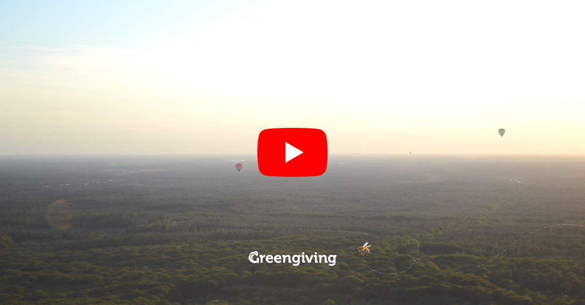 greengiving teamuitje ballonvaart
