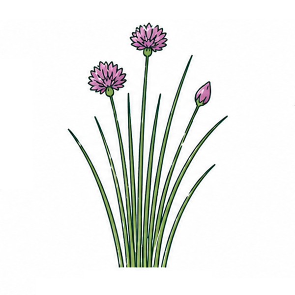 Zaadzakjes 65 x 95 mm plasticvrij - Afbeelding 20