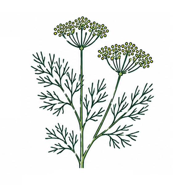 Zaadzakjes 65 x 95 mm plasticvrij - Afbeelding 21