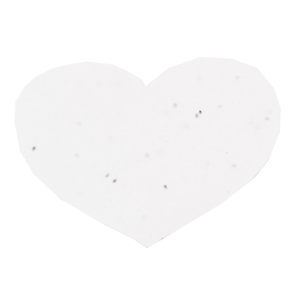 Groeipapier hart A6 - Afbeelding 5