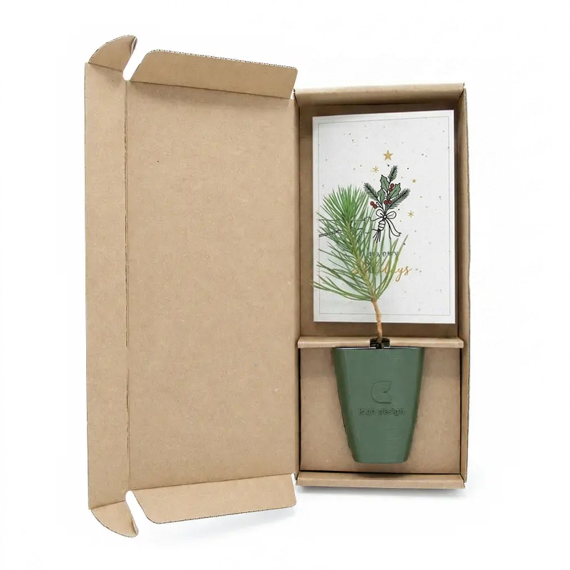 Boomgeschenk in doosje met logo | Kerst