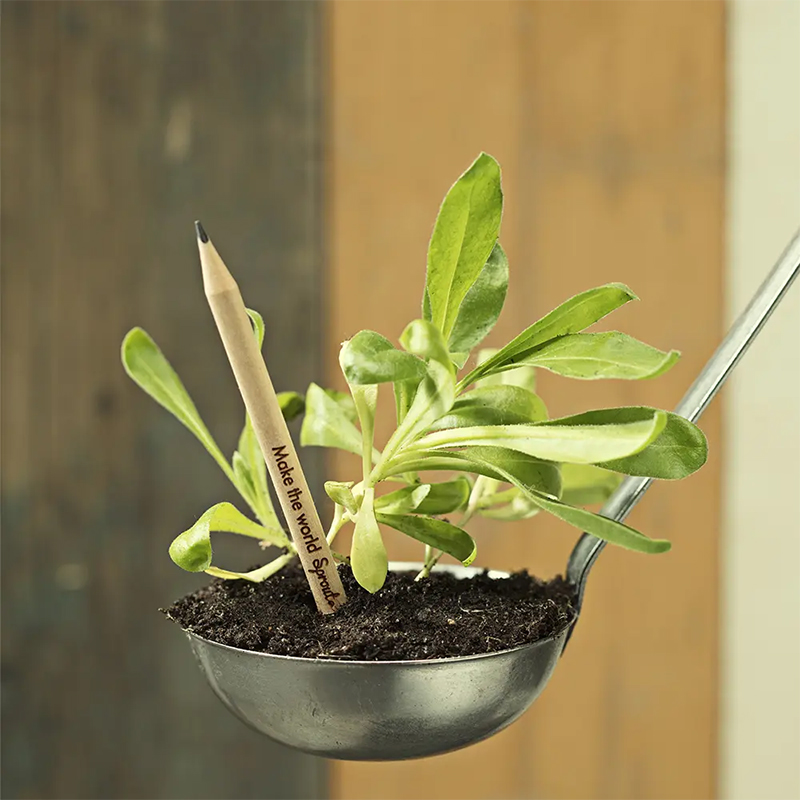 Sprout Potloden | Kruideneditie | Grafiet Plantbare Potloden met Kruidenzaden | Gecertificeerd Hout | Ideaal voor Urban Gardeners | 5 Pack