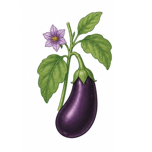 Sprout verpakking 1 stuk - Afbeelding 14