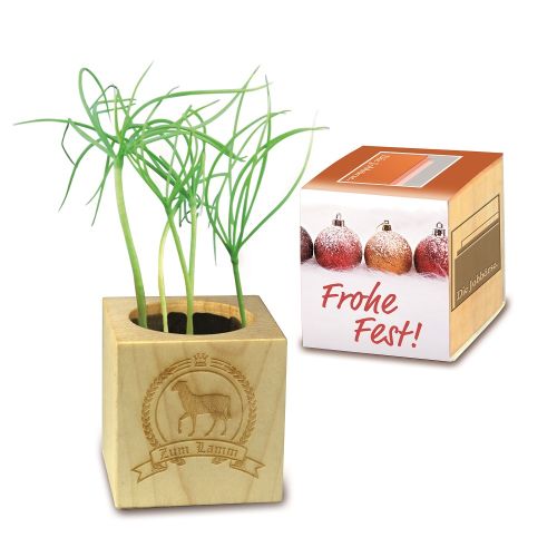 Plantenset met wikkel - Afbeelding 3