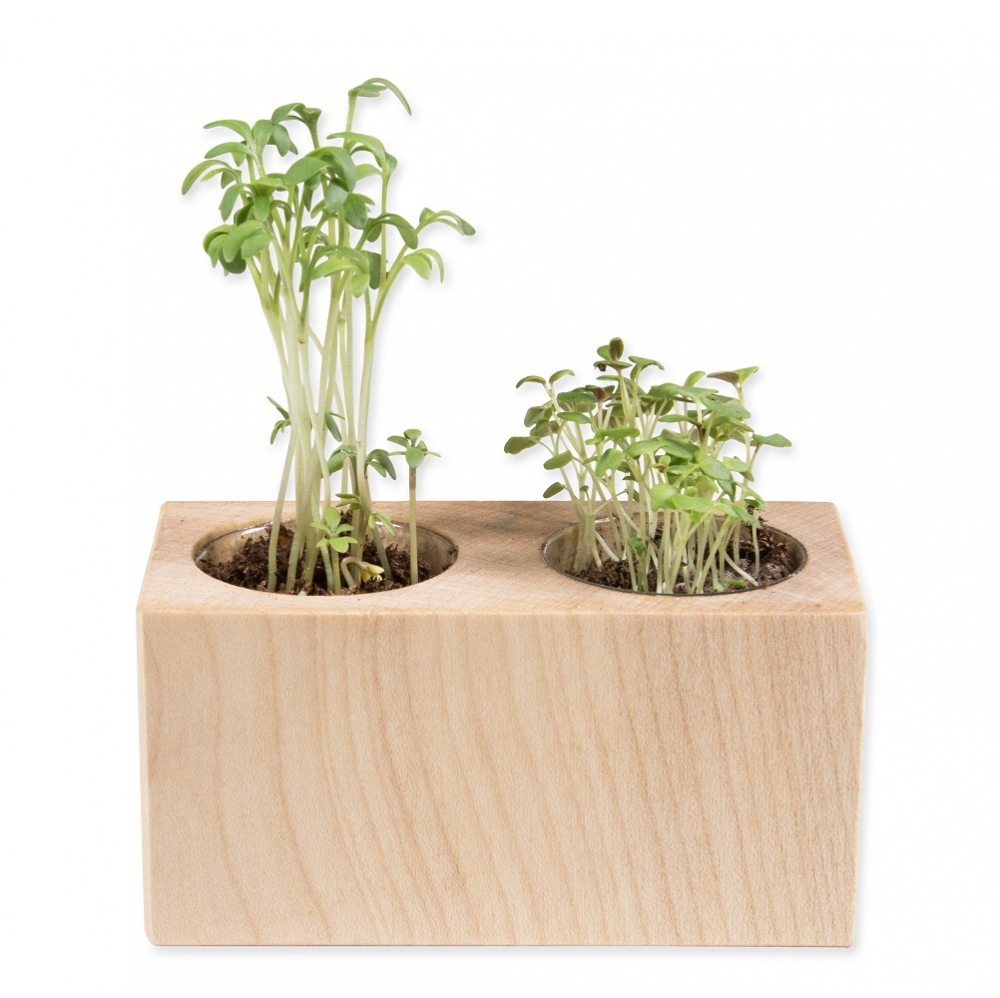 Plantenset dubbel