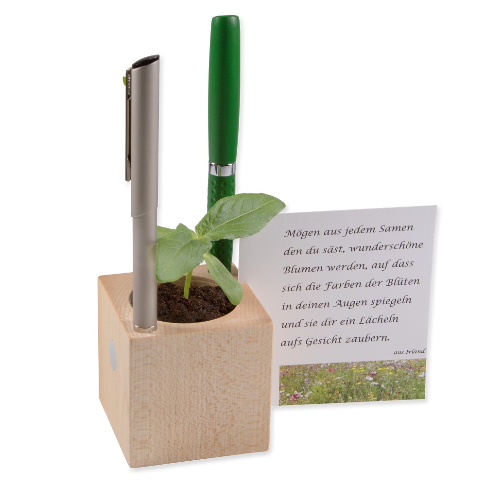 Pennenbakje met zaden | Eco geschenk