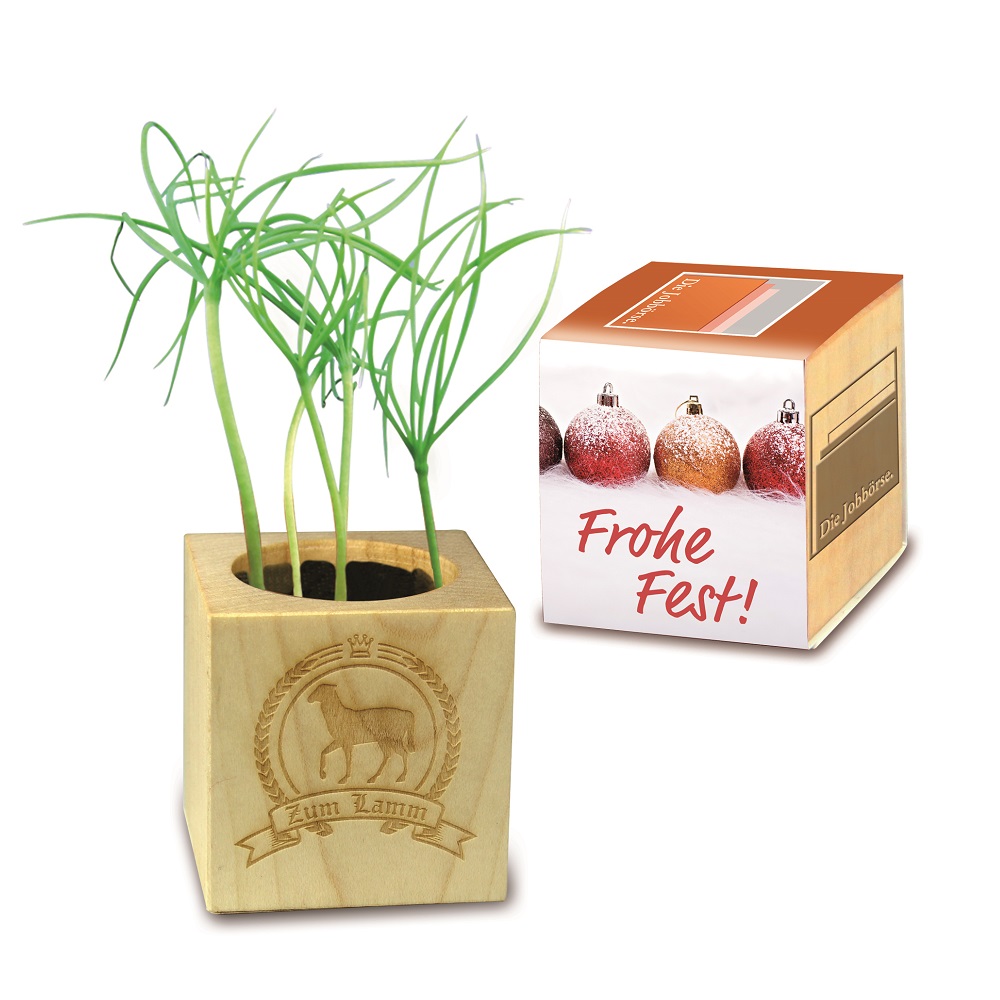 Plantenset met wikkel - Afbeelding 2
